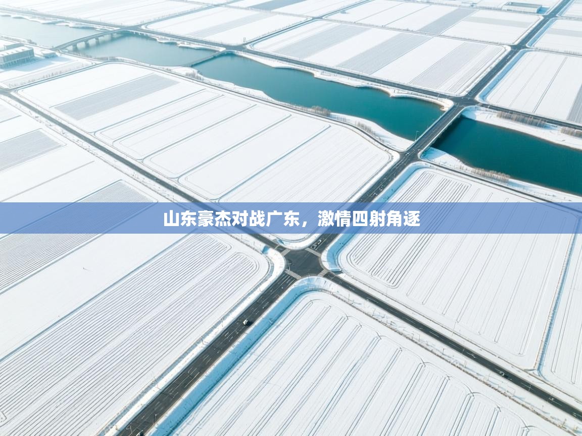 山东豪杰对战广东，激情四射角逐  第1张