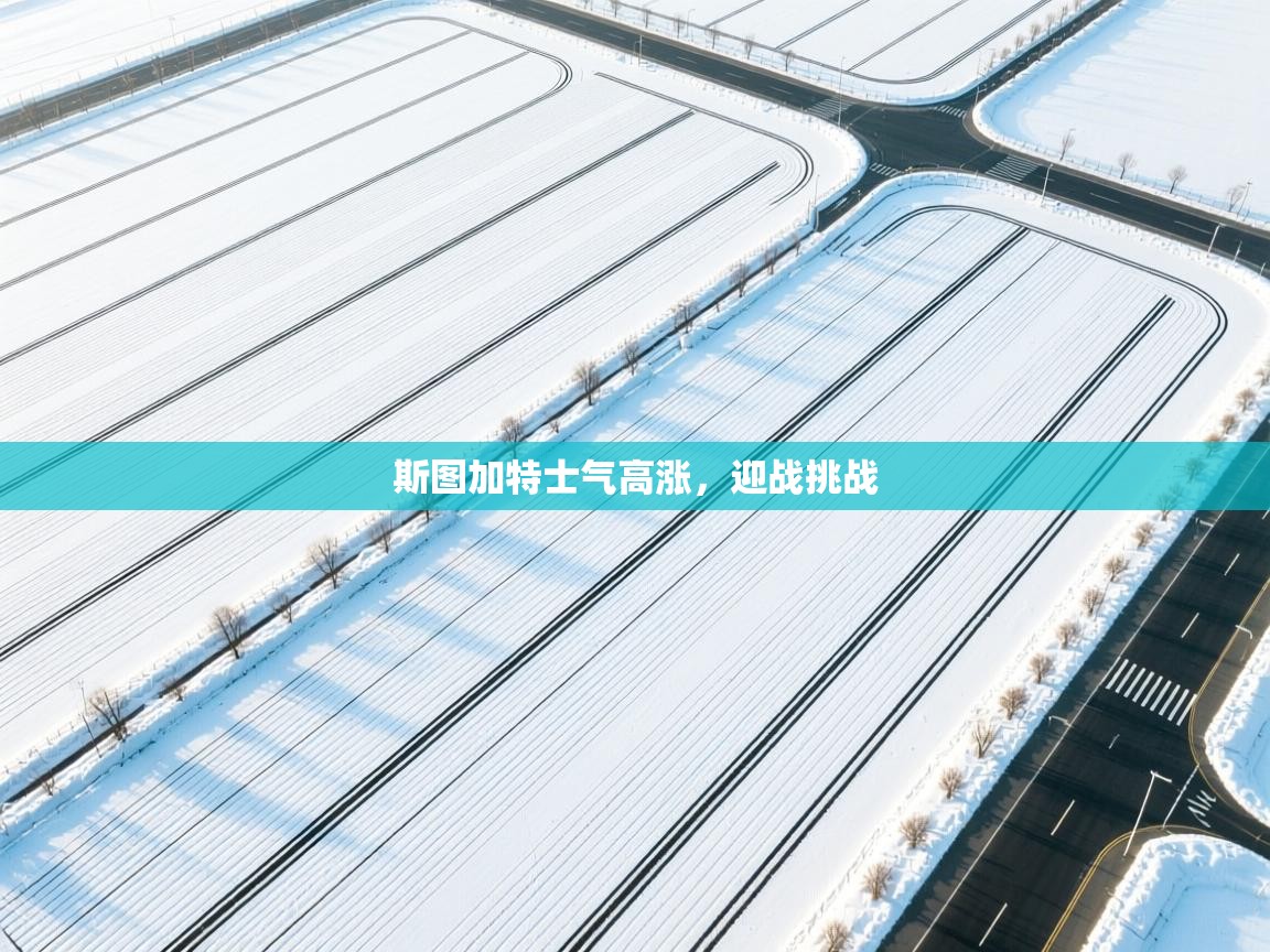 斯图加特士气高涨，迎战挑战  第1张