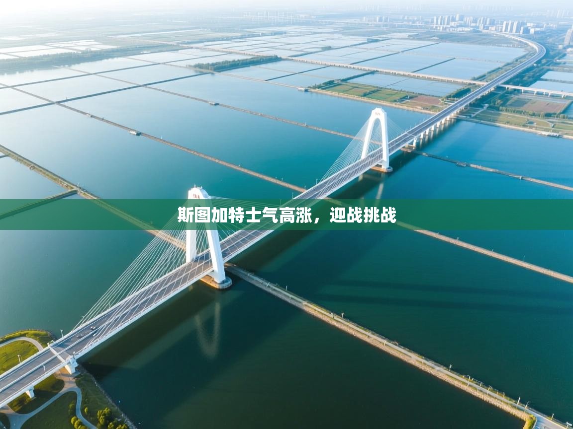 斯图加特士气高涨，迎战挑战  第2张